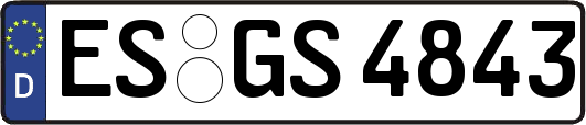 ES-GS4843