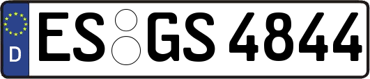 ES-GS4844