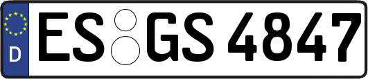 ES-GS4847