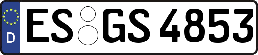 ES-GS4853