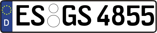 ES-GS4855