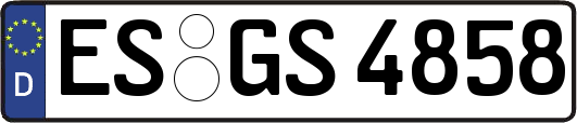 ES-GS4858