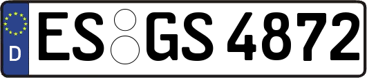 ES-GS4872