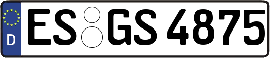 ES-GS4875