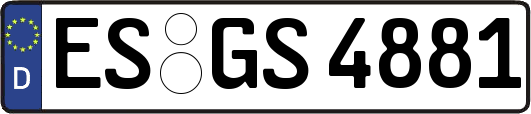 ES-GS4881