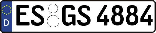 ES-GS4884