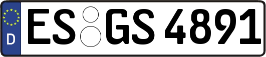 ES-GS4891