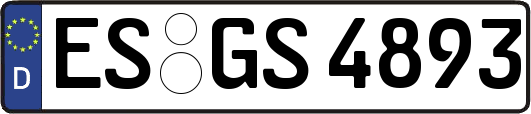 ES-GS4893