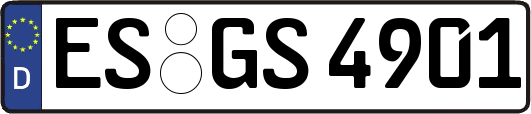 ES-GS4901