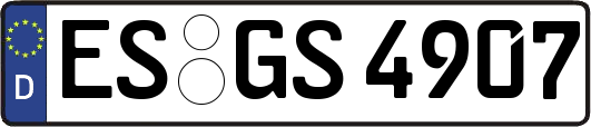 ES-GS4907