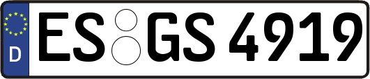 ES-GS4919
