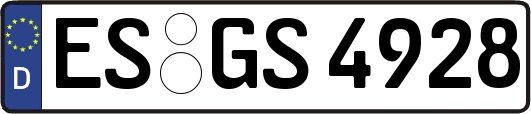 ES-GS4928