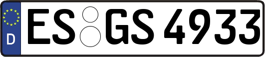 ES-GS4933