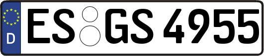 ES-GS4955