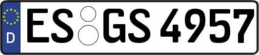 ES-GS4957