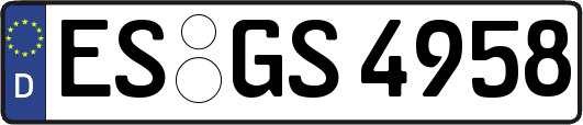 ES-GS4958
