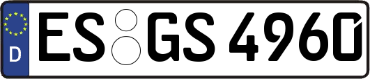 ES-GS4960