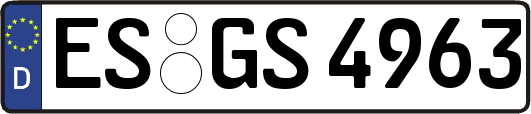 ES-GS4963