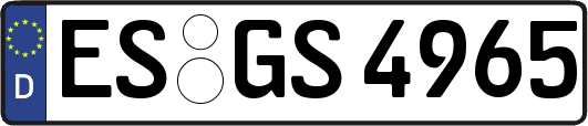 ES-GS4965