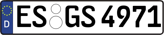 ES-GS4971