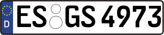 ES-GS4973