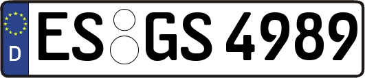 ES-GS4989