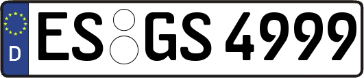 ES-GS4999