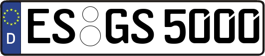 ES-GS5000