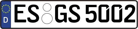 ES-GS5002