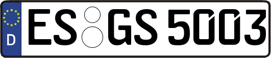 ES-GS5003