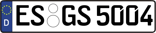 ES-GS5004