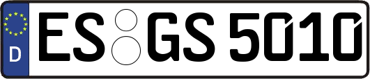 ES-GS5010