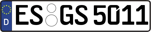 ES-GS5011