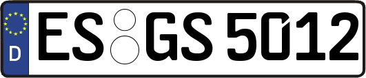 ES-GS5012