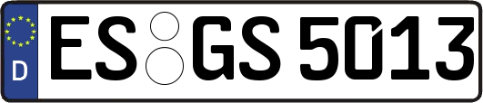 ES-GS5013