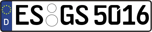 ES-GS5016