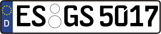 ES-GS5017