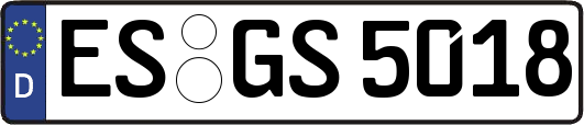 ES-GS5018