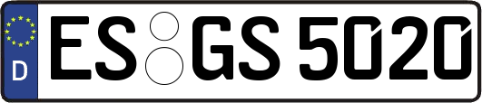 ES-GS5020