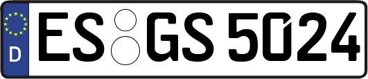 ES-GS5024