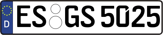 ES-GS5025