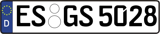 ES-GS5028