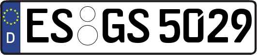 ES-GS5029