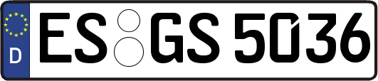 ES-GS5036