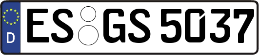ES-GS5037
