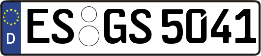 ES-GS5041