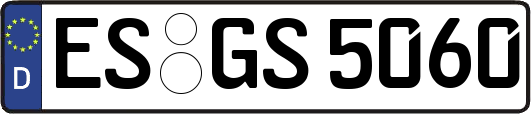 ES-GS5060