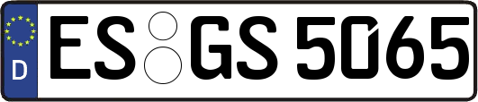 ES-GS5065