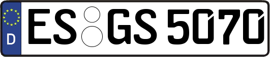 ES-GS5070