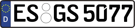 ES-GS5077